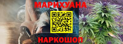 прущие крисы Бийск