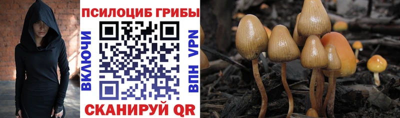 Галлюциногенные грибы ЛСД  Дагестанские Огни 